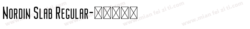 Nordin Slab Regular字体转换